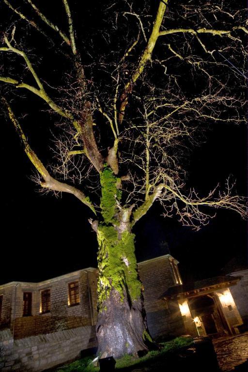 Hotel Archontiko Geki 1876 Papigko Zewnętrze zdjęcie